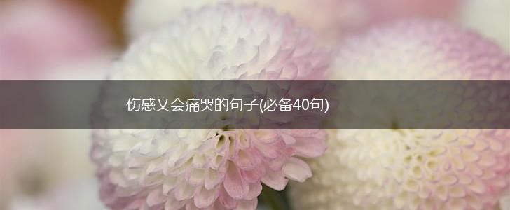 伤感又会痛哭的句子(必备40句),第1张