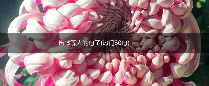 伤感等人的句子(热门30句),第1张