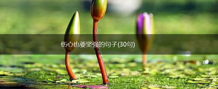 伤心也要坚强的句子(30句),第1张