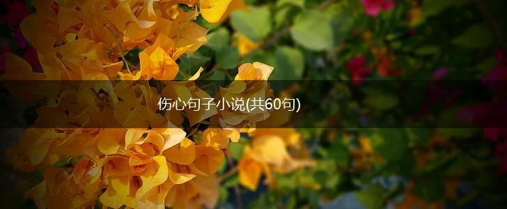 伤心句子小说(共60句),第1张