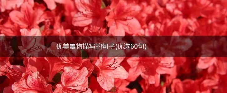 优美景物描写的句子(优选60句),第1张