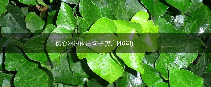 伤心淋过雨后句子(热门46句),第1张
