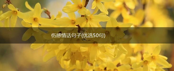 伤感情话句子(优选50句),第1张
