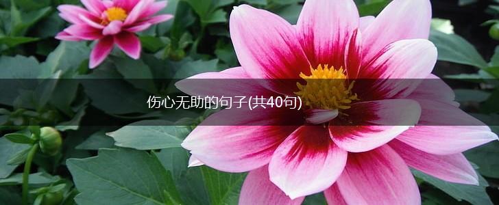 伤心无助的句子(共40句),第1张