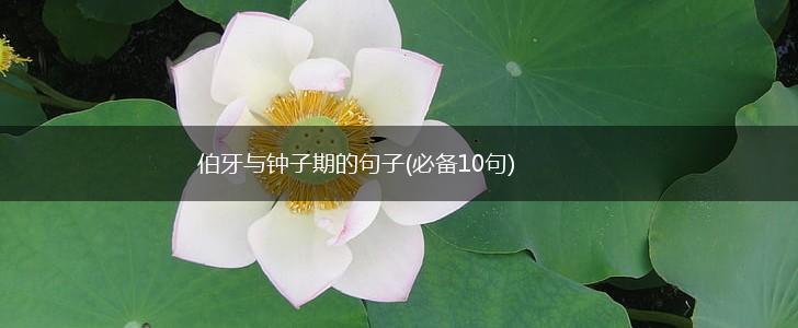 伯牙与钟子期的句子(必备10句),第1张