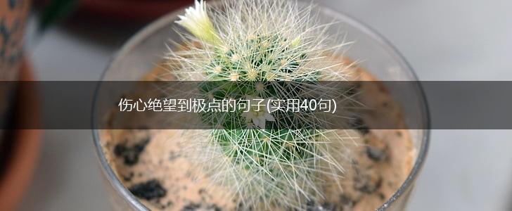 伤心绝望到极点的句子(实用40句),第1张