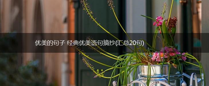 优美的句子 经典优美语句摘抄(汇总20句),第1张