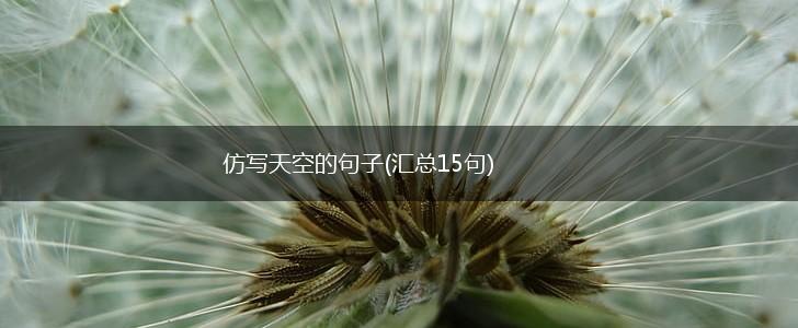 仿写天空的句子(汇总15句),第1张