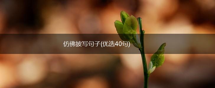 仿佛披写句子(优选40句),第1张