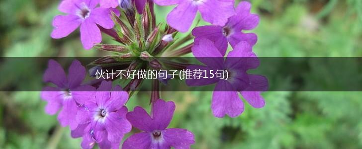 伙计不好做的句子(推荐15句),第1张