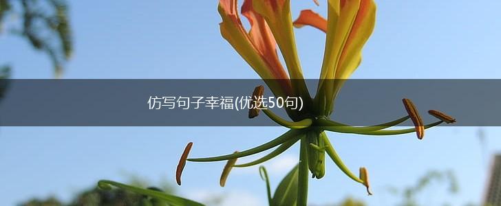 仿写句子幸福(优选50句),第1张