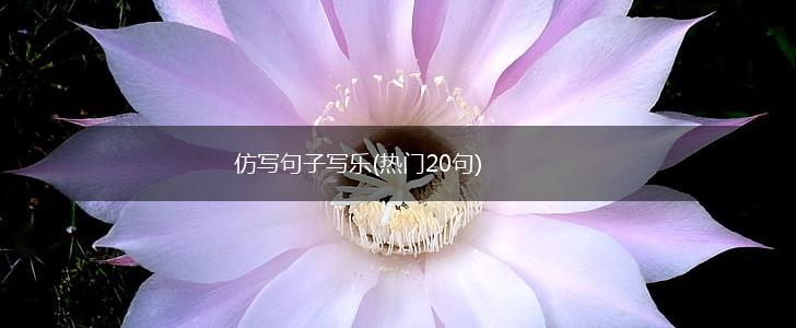 仿写句子写乐(热门20句),第1张