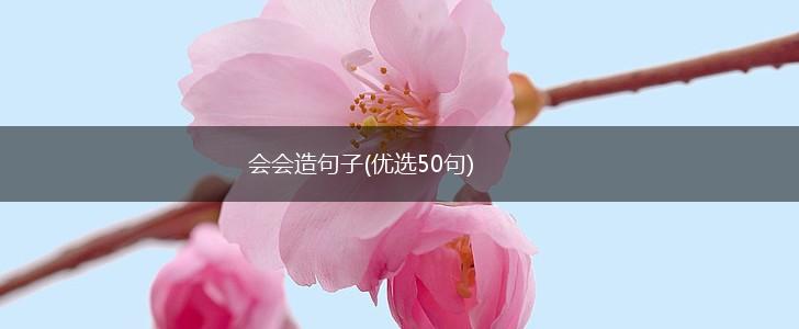 会会造句子(优选50句),第1张