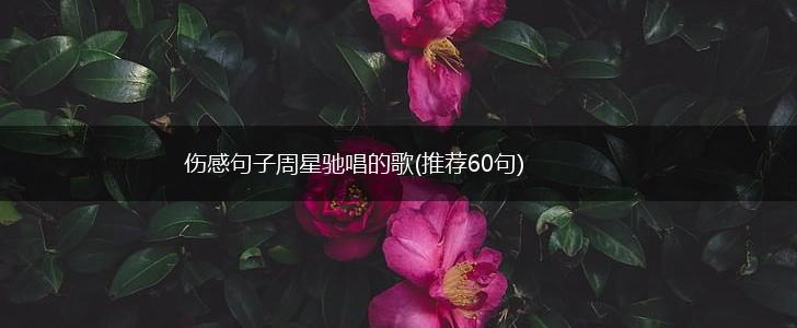 伤感句子周星驰唱的歌(推荐60句),第1张