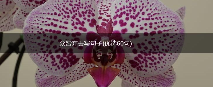 众皆弃去写句子(优选60句),第1张