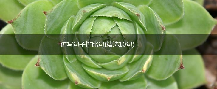 仿写句子排比句(精选10句),第1张