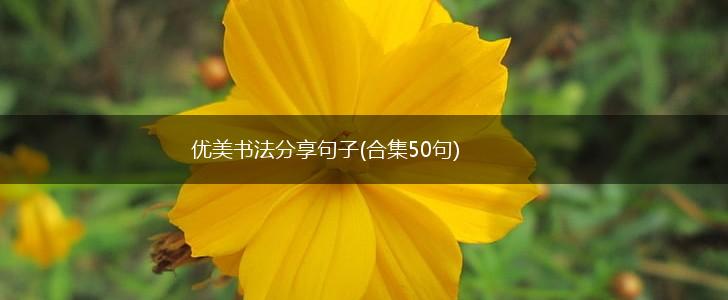 优美书法分享句子(合集50句),第1张
