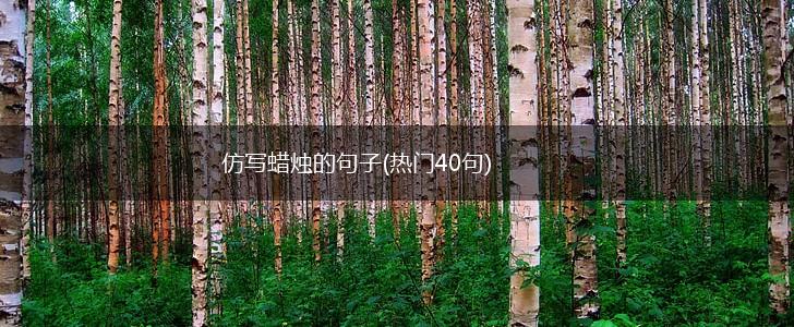 仿写蜡烛的句子(热门40句),第1张
