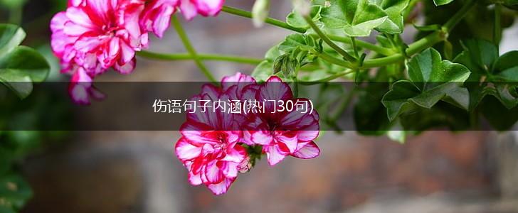 伤语句子内涵(热门30句),第1张