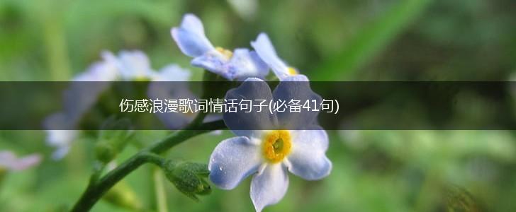 伤感浪漫歌词情话句子(必备41句),第1张
