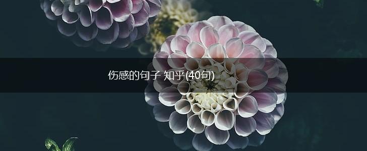 伤感的句子 知乎(40句),第1张