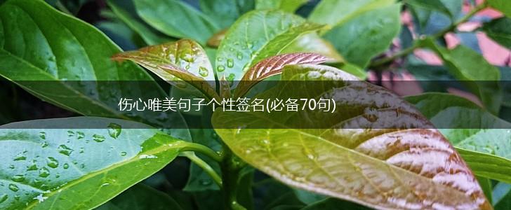伤心唯美句子个性签名(必备70句),第1张