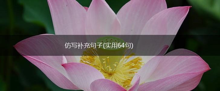 仿写补充句子(实用64句),第1张