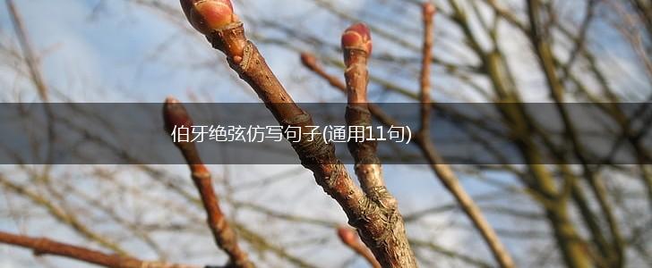 伯牙绝弦仿写句子(通用11句),第1张