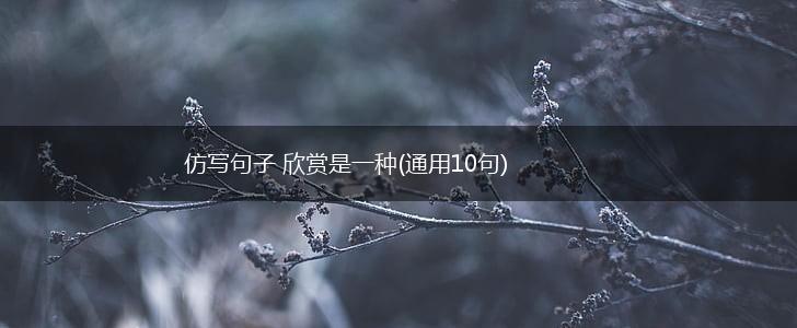 仿写句子 欣赏是一种(通用10句),第1张