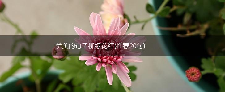优美的句子柳绿花红(推荐20句),第1张