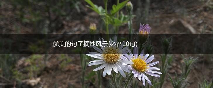 优美的句子摘抄风景(必备10句),第1张