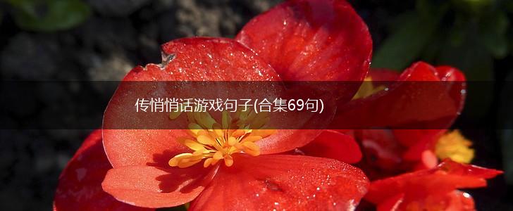 传悄悄话游戏句子(合集69句),第1张