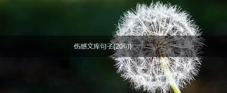 伤感文库句子(20句),第1张