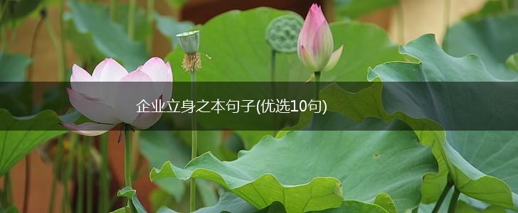 企业立身之本句子(优选10句),第1张