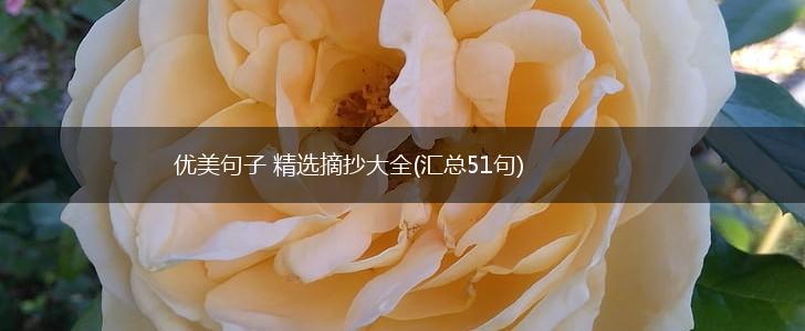 优美句子 精选摘抄大全(汇总51句),第1张