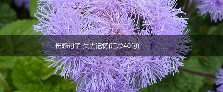 伤感句子 失去记忆(汇总40句),第1张