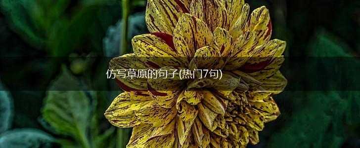 仿写草原的句子(热门7句),第1张