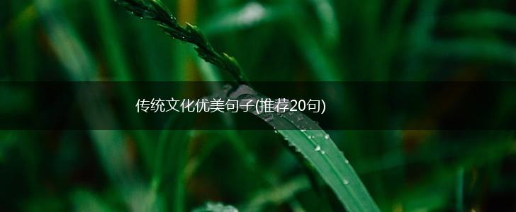 传统文化优美句子(推荐20句),第1张