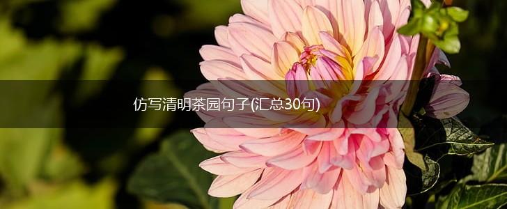 仿写清明茶园句子(汇总30句),第1张
