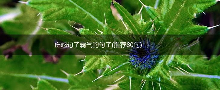 伤感句子霸气的句子(推荐80句),第1张