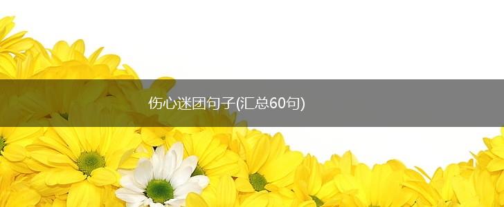 伤心迷团句子(汇总60句),第1张