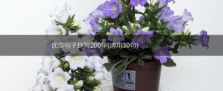 优美句子抄写200字(通用30句),第1张
