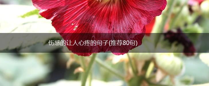 伤感的让人心疼的句子(推荐80句),第1张