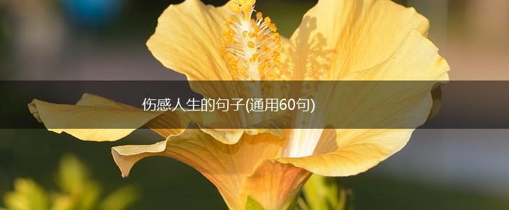 伤感人生的句子(通用60句),第1张