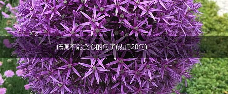 低调不能贪心的句子(热门20句),第1张