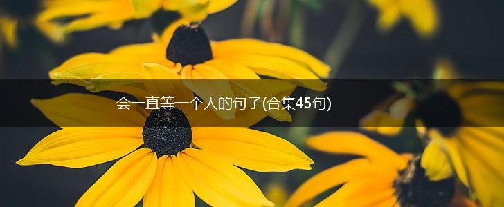 会一直等一个人的句子(合集45句),第1张