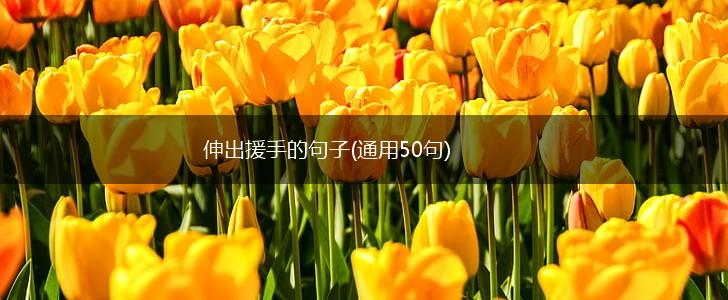 伸出援手的句子(通用50句),第1张